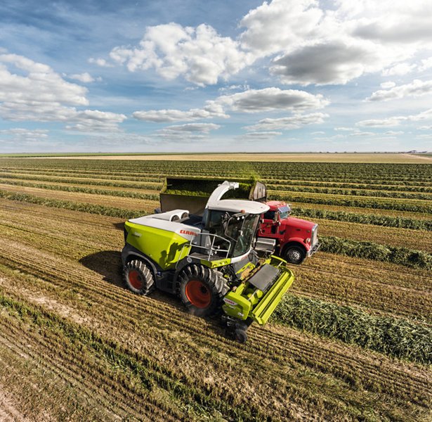 Полевой измельчитель c полным приводом Claas Jaguar 950 14287