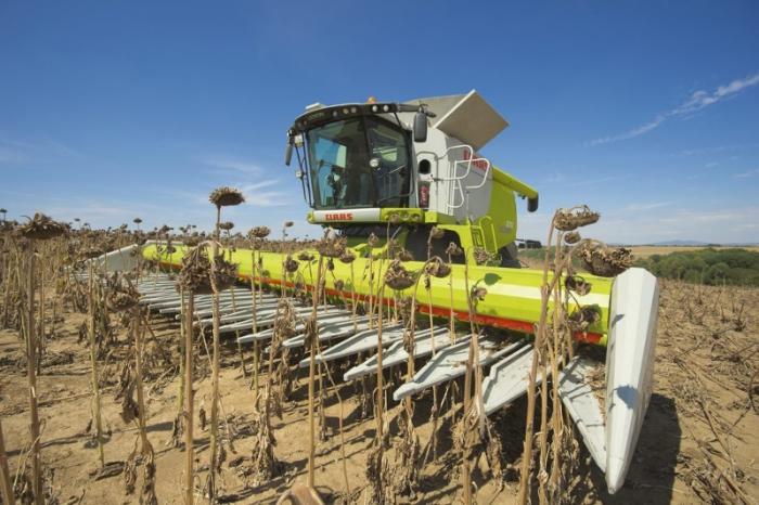 Зерноуборочный комбайн Claas Lexion 670 Montana 78645