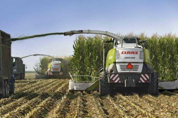 Полевой измельчитель c полным приводом Claas Jaguar 980 81229