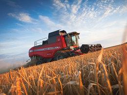 Зерноуборочный комбайн Massey Ferguson Beta 7370 84884