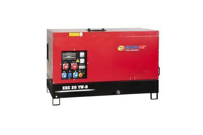 Электрический генератор 1500 Endress ESE 10 YW-B 57142