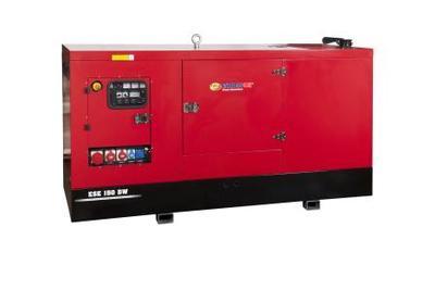 Электрический генератор 1500 Endress ESE 110 DW-MS 93966