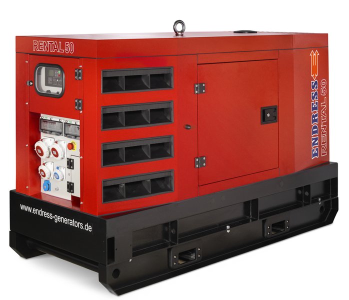 Электрический генератор 1500 Endress ESE 50 YW/RS 100154