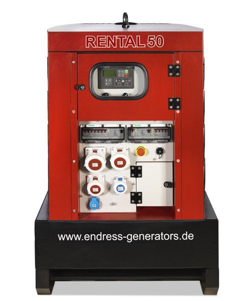Электрический генератор 1500 Endress ESE 50 YW/RS 100155