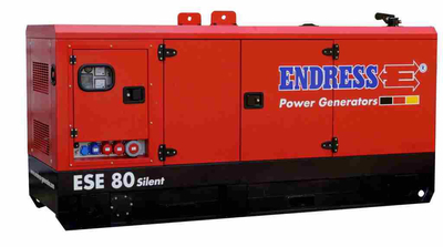 Электрический генератор 1500 Endress ESE 80 DW-B 57139