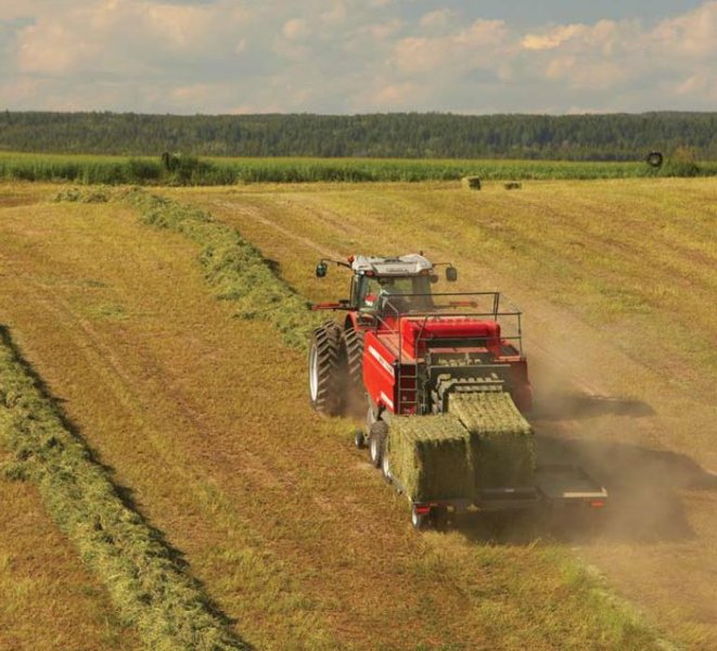 Пресс-подборщик крупногабаритный и пресс высокого давления Massey Ferguson MF 2190 TC 49952