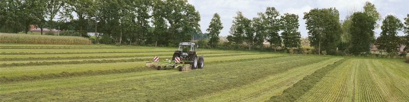 Роторный валкователь Krone Swadro 46 T 82595