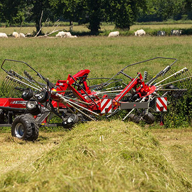 Роторный валкователь Massey Ferguson RK1254 TRC-EC 46399