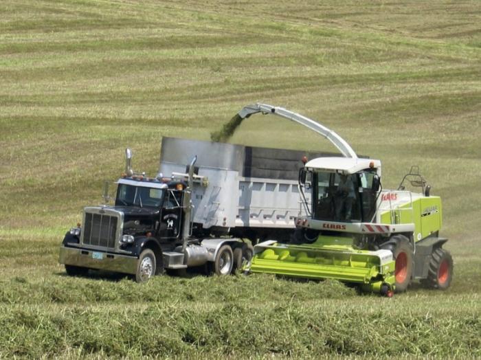 Полевой измельчитель c полным приводом Claas Jaguar 900 14255