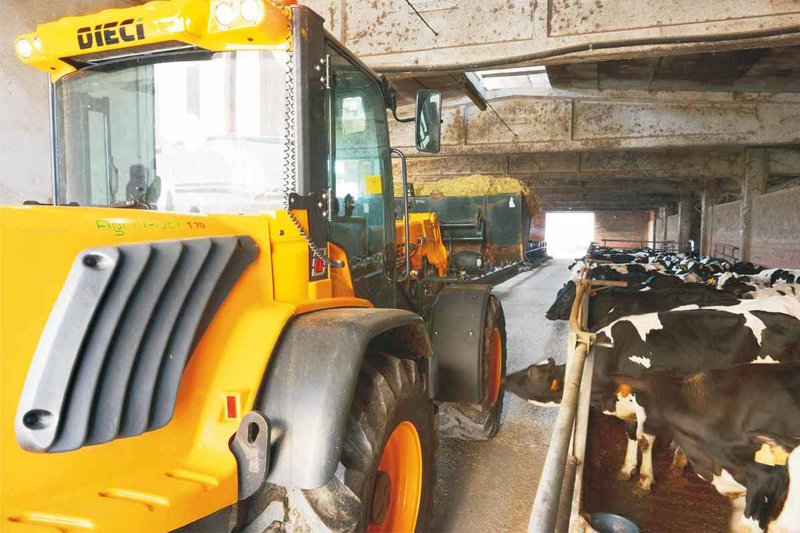 Телескопические погрузчики неподвижные Dieci Agri Pivot T60 21890