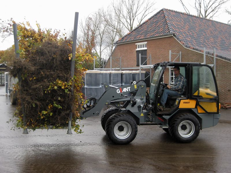 Колесные погрузчики Giant V 5003 T 10002