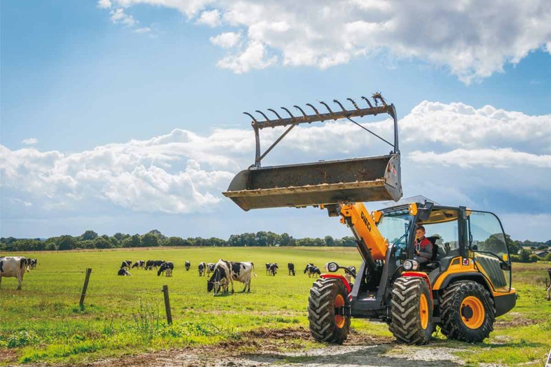 Телескопические погрузчики неподвижные Dieci Agri Pivot T60 91861