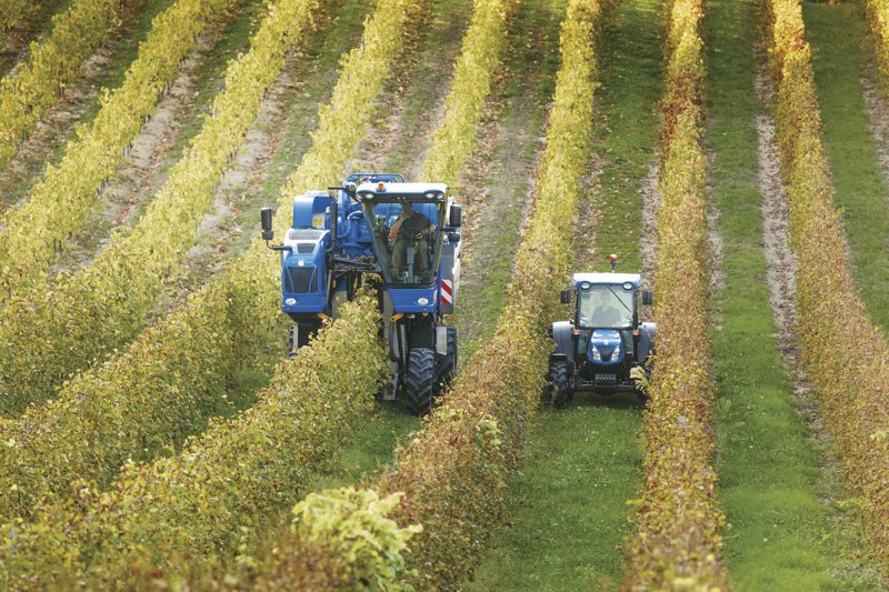 Тракторы с 4-х осевым New Holland T 4.105 LP 106366