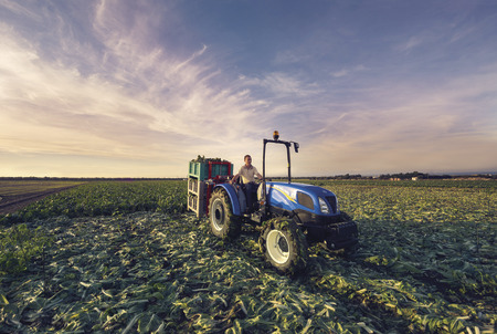Тракторы с 4-х осевым New Holland TD4.90 F 47916