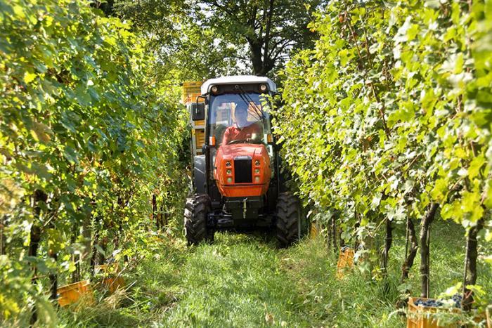 Тракторы с 4-х осевым SAME Frutteto³ S 100 DT 106123