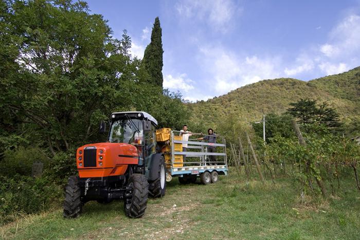 Тракторы с 4-х осевым SAME Frutteto³ S 100 DT 106126