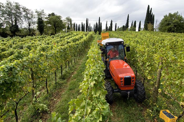 Тракторы с 4-х осевым SAME Frutteto³ S 100 DT 106127