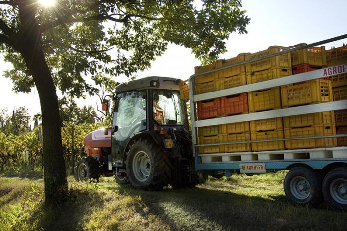 Тракторы с 4-х осевым SAME Frutteto³ S 80 GS DT 103245