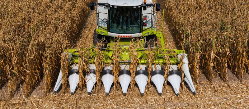 узел для сборки кукурузы Claas Corio 875 FC 43052