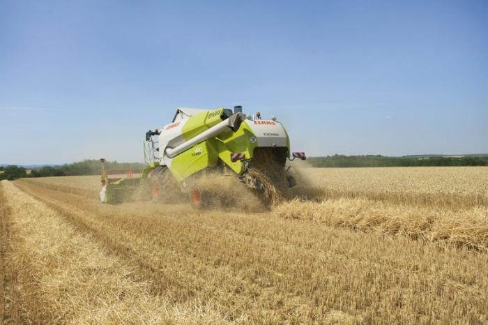 Зерноуборочный комбайн Claas Tucano 480 43499