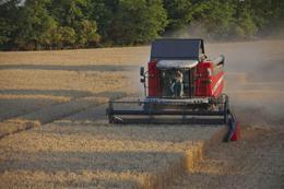 Зерноуборочный комбайн Massey Ferguson Activa 7345 S-MC 48791