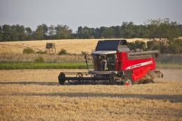 Зерноуборочный комбайн Massey Ferguson Activa 7345 S-MC 48792